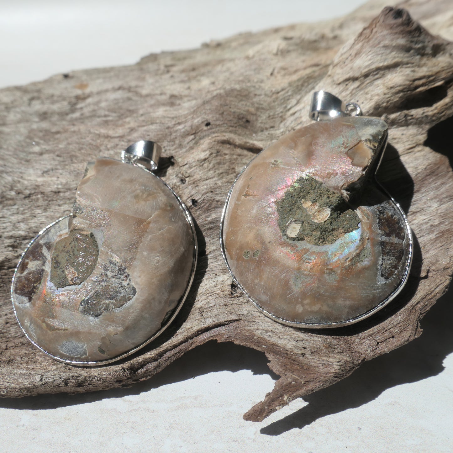 Ammonite Pendant Pair - 2