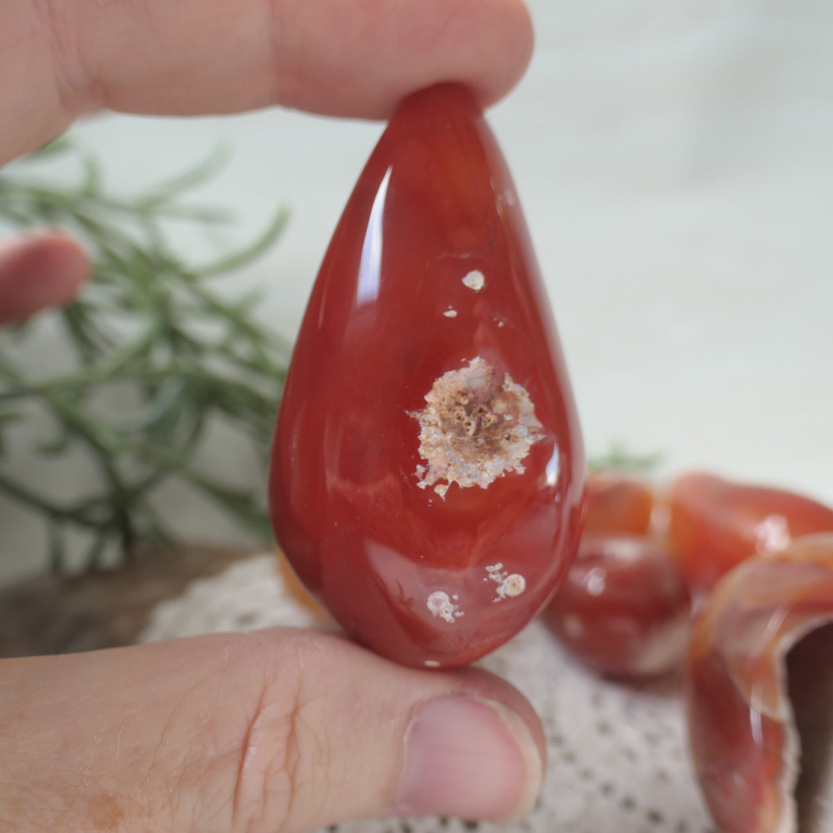 Carnelian Druzy Egg 9