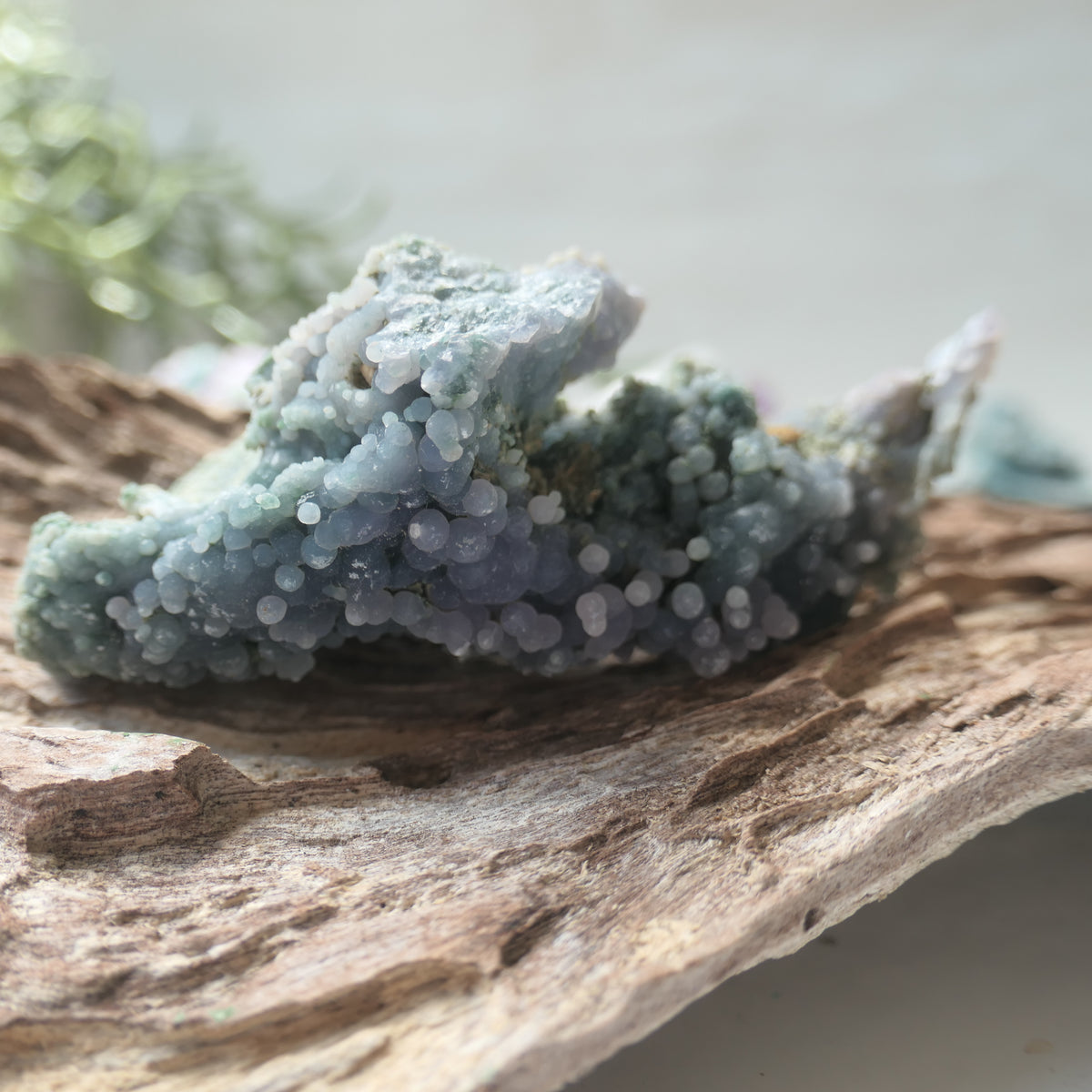 Grape Agate Piece - LR1
