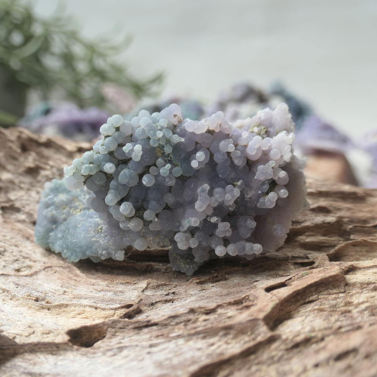 Grape Agate Piece - ME5
