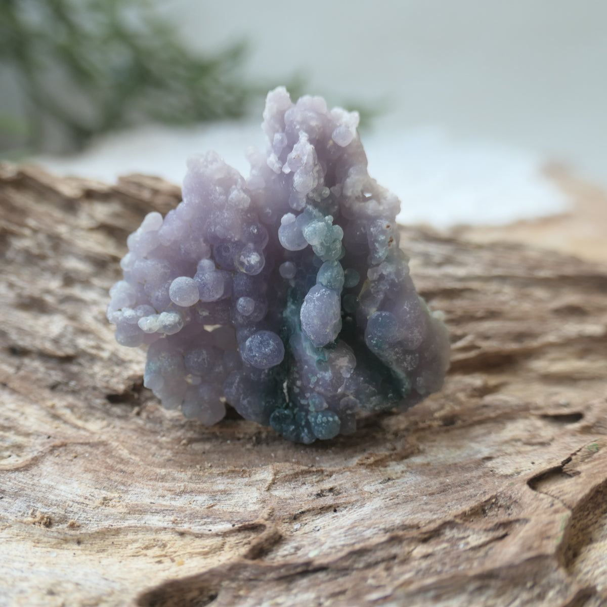 Grape Agate Piece - SM3