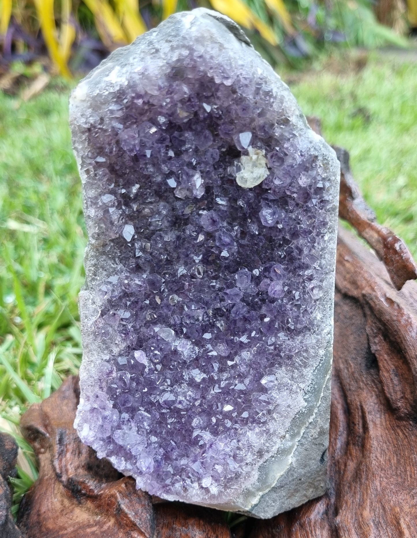 Amethyst Cut Base Cave 01