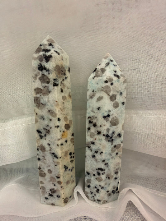 Kiwi Jasper