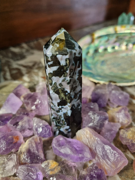 Indigo Gabbro