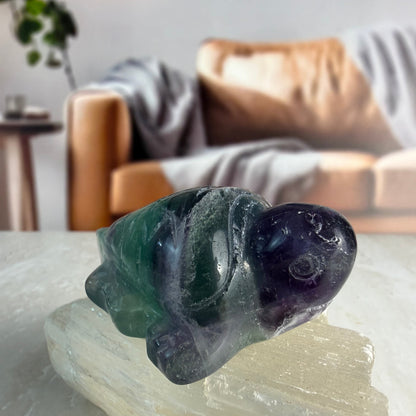 Fluorite Turtle Carvings
