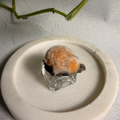 Thomsonite Sun 2