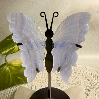 Blue Lace Agate Butterfly