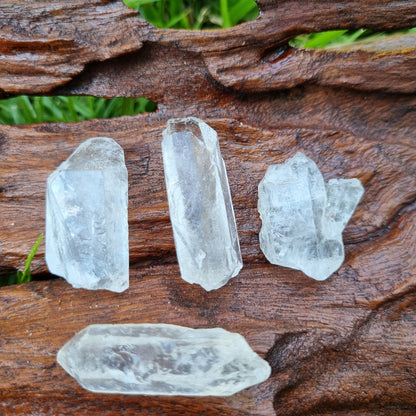 Clear Quartz Terminated Points Rough