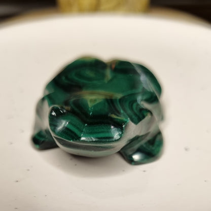 Malachite Frog