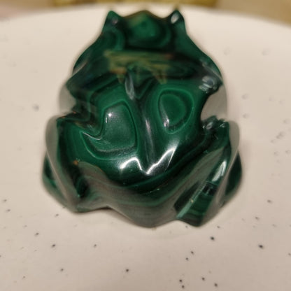 Malachite Frog