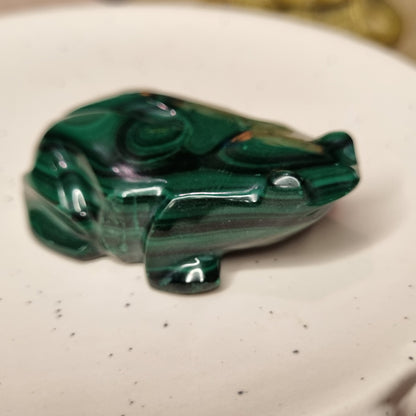 Malachite Frog