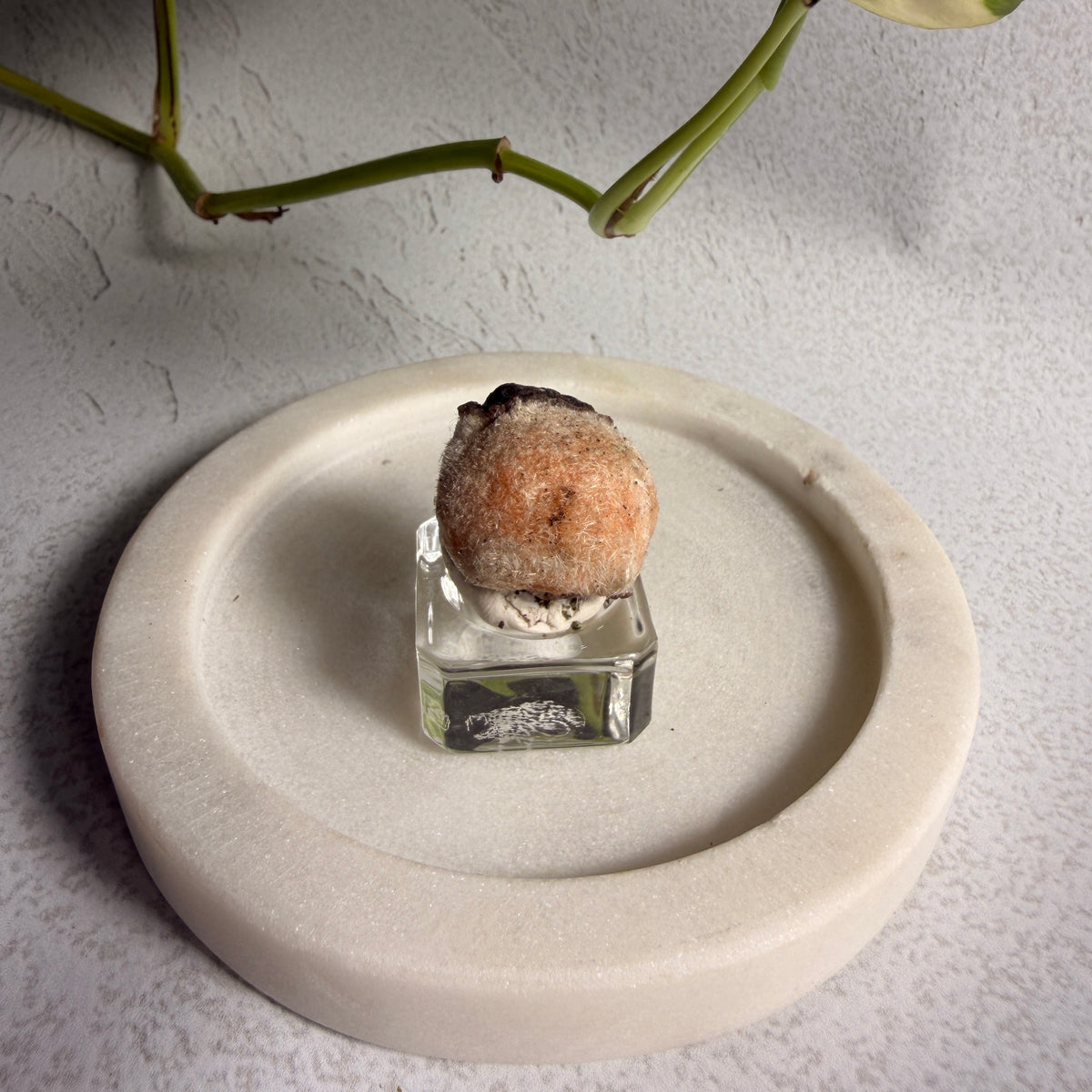 Thomsonite Sun 1