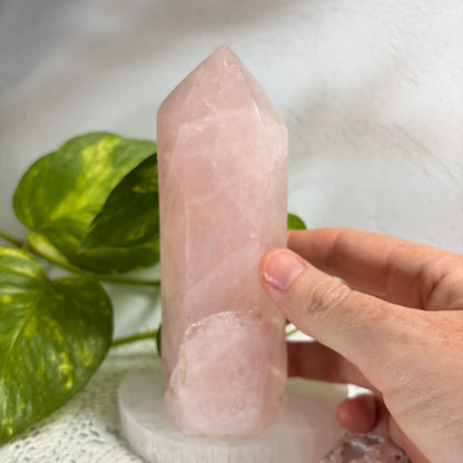 Rose Quartz Tower - 1