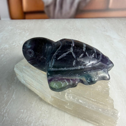 Fluorite Turtle Carvings