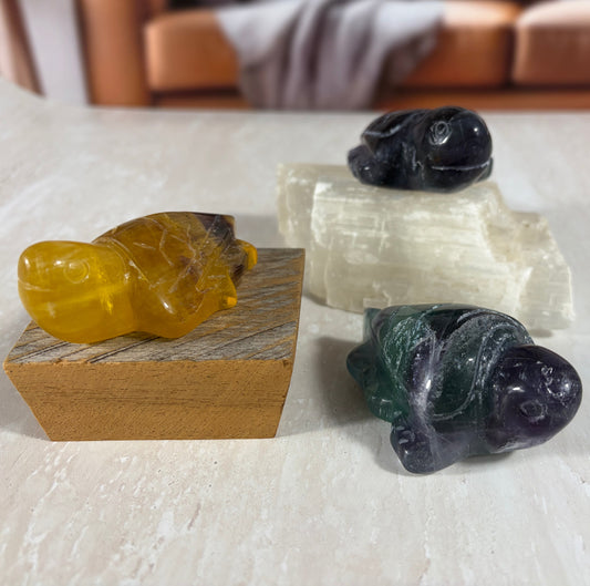 Fluorite Turtle Carvings