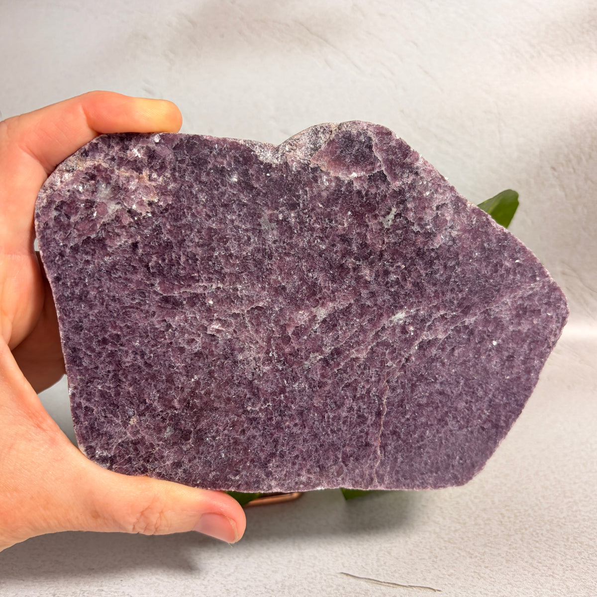Lepidolite Slab 2 - WA