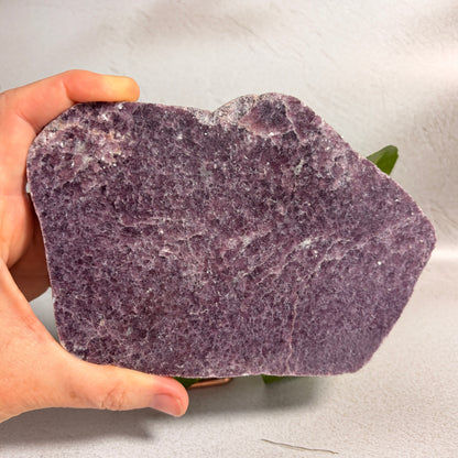 Lepidolite Slab 2 - WA