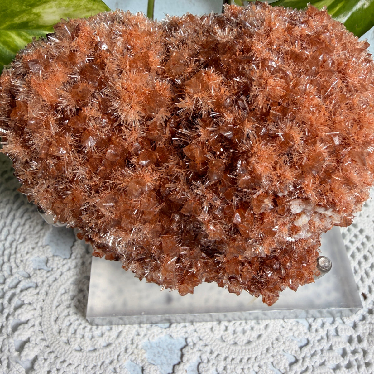 Red Gypsum 1 - WA