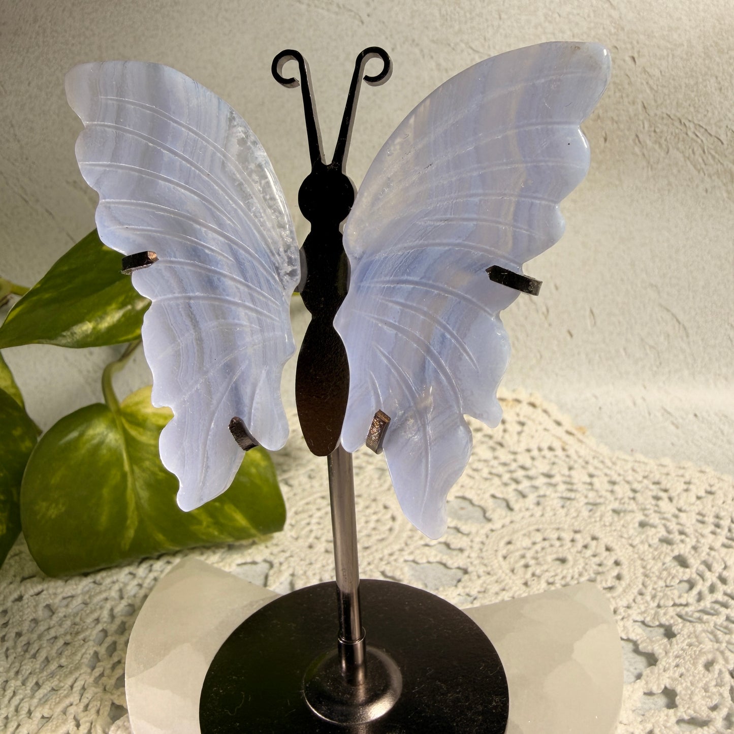 Blue Lace Agate Butterfly