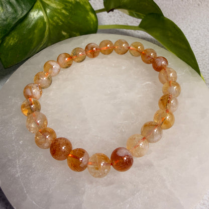 8mm Citrine bead bracelet (HTA)