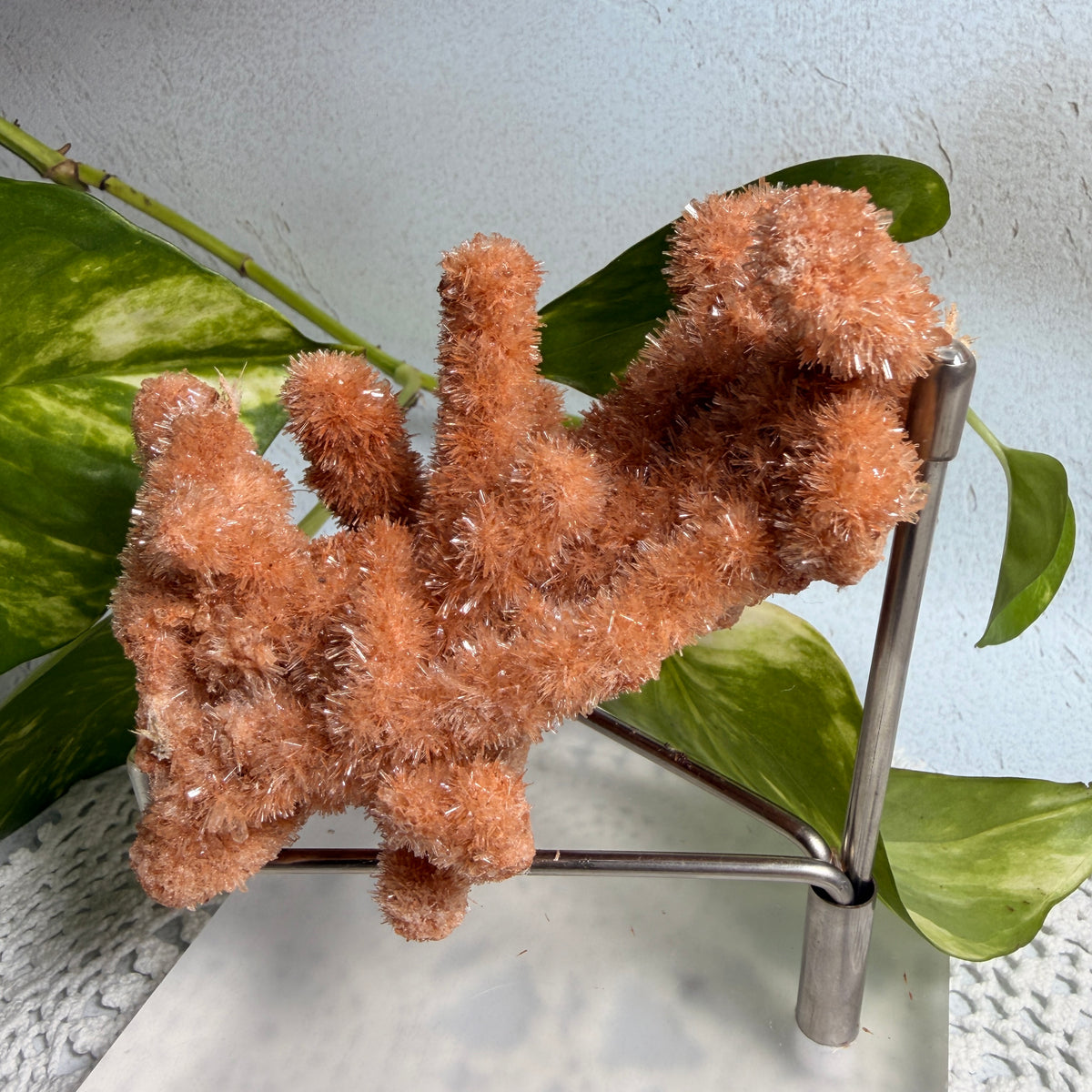 Red Gypsum 2 - WA