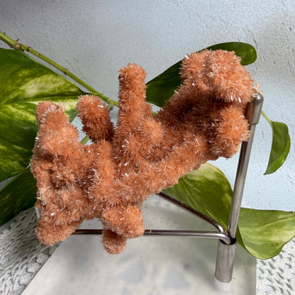 Red Gypsum 2 - WA