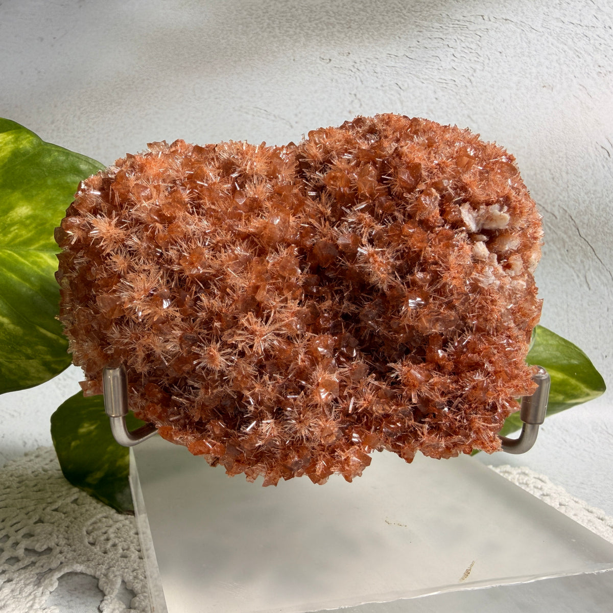 Red Gypsum 1 - WA