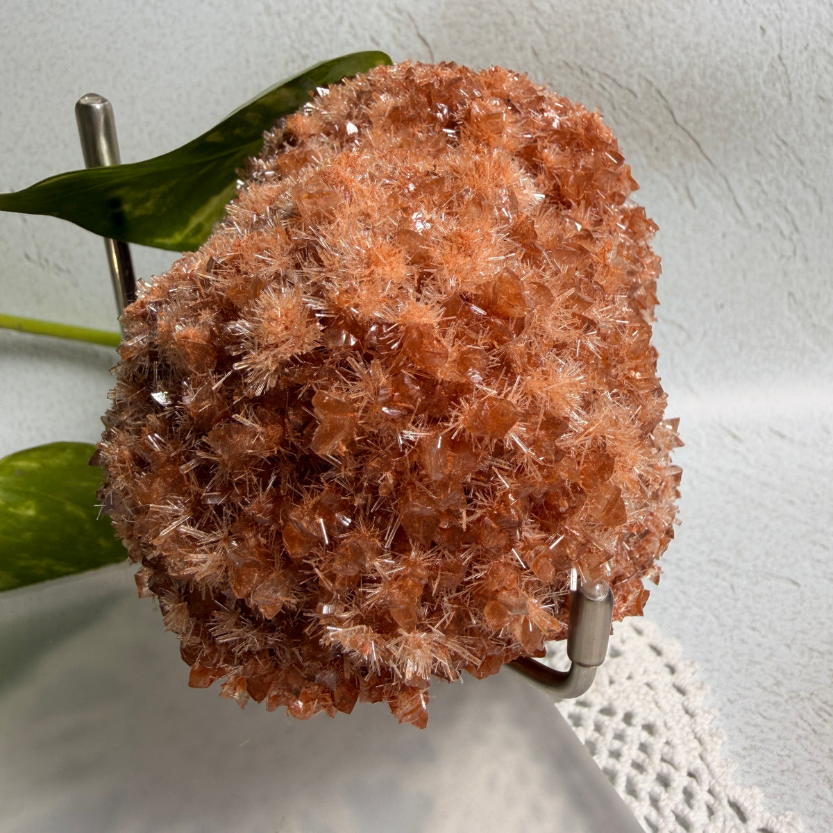 Red Gypsum 1 - WA
