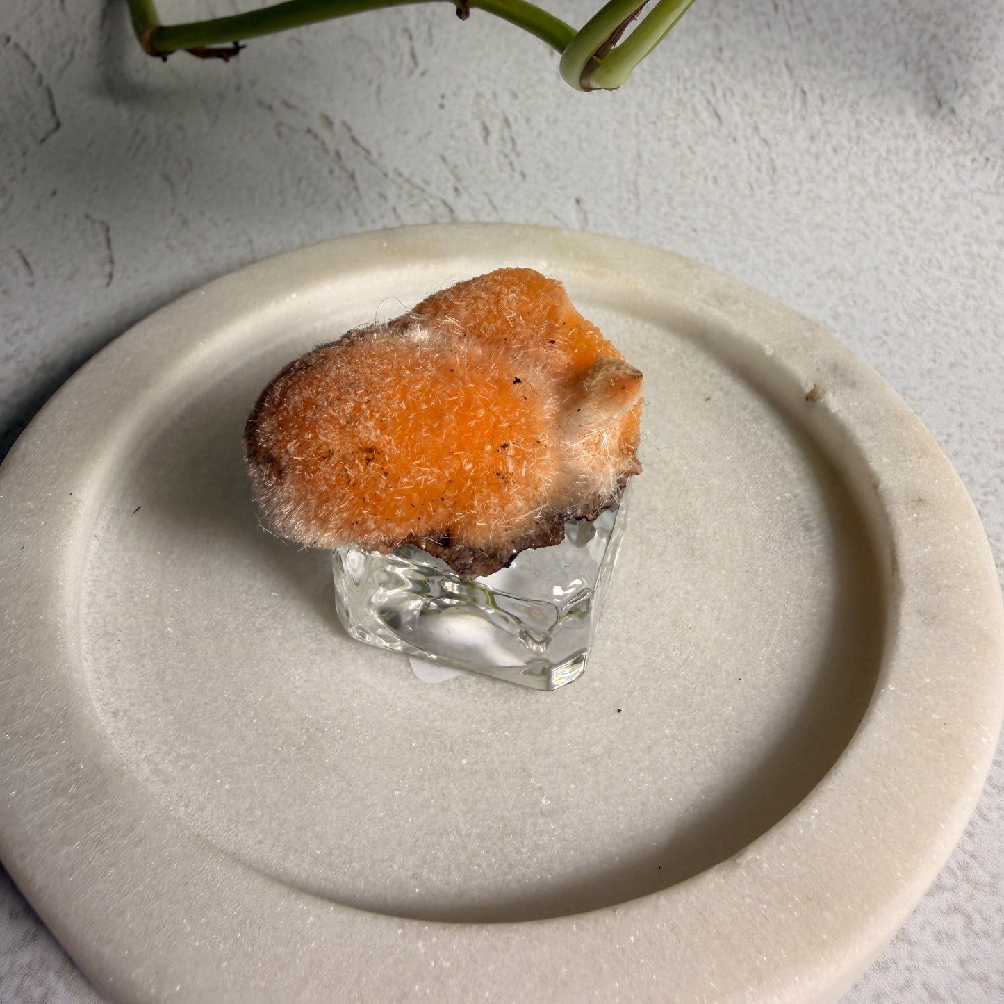 Thomsonite Sun 3