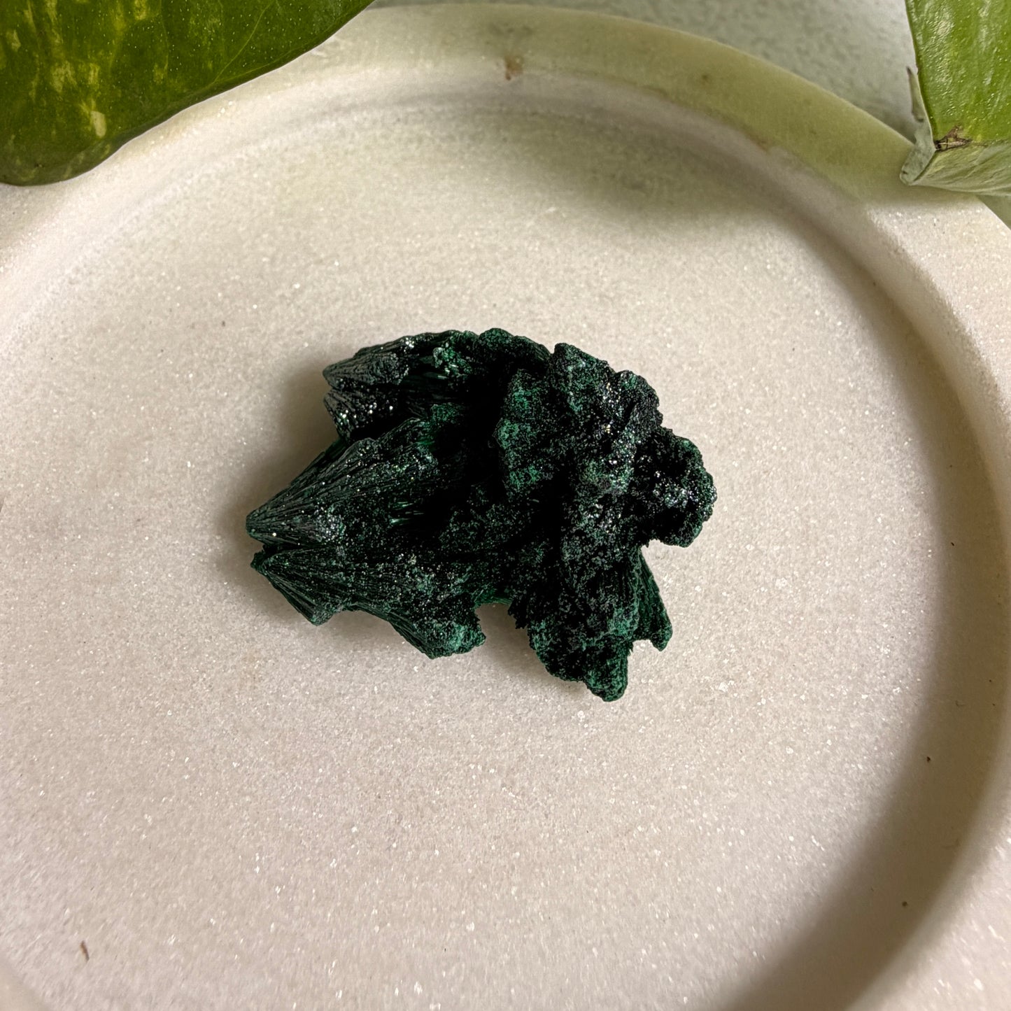 Fibrous Malachite Specimen