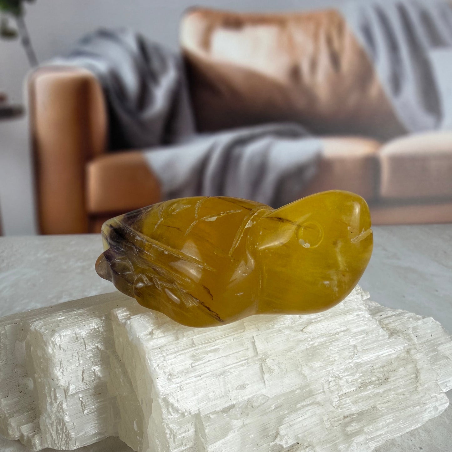 Fluorite Turtle Carvings