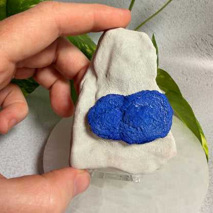 Azurite Suns 01 - NT