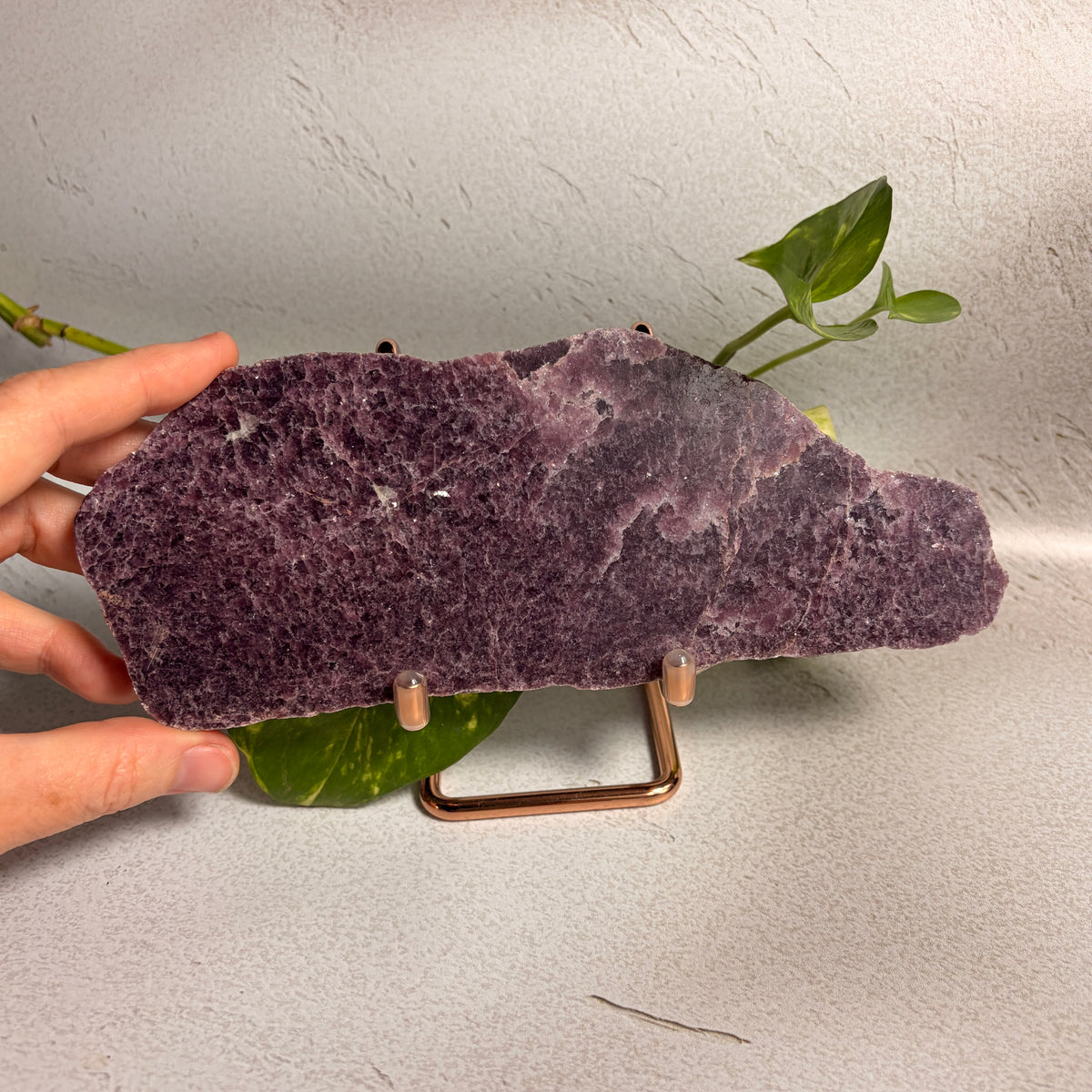 Lepidolite Slab - WA
