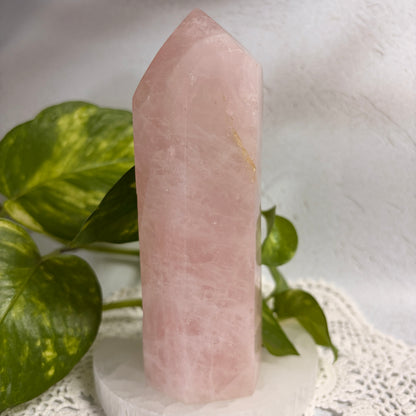 Rose Quartz Tower - 1