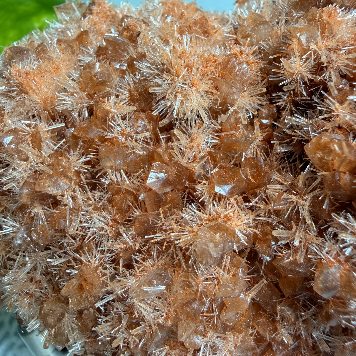 Red Gypsum 1 - WA