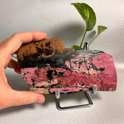 Rhodonite Slab - NSW