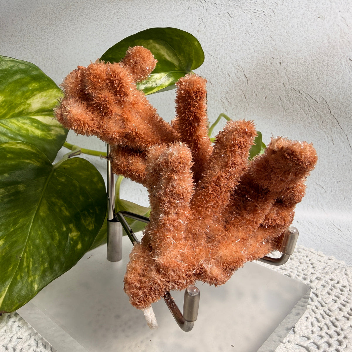 Red Gypsum 2 - WA