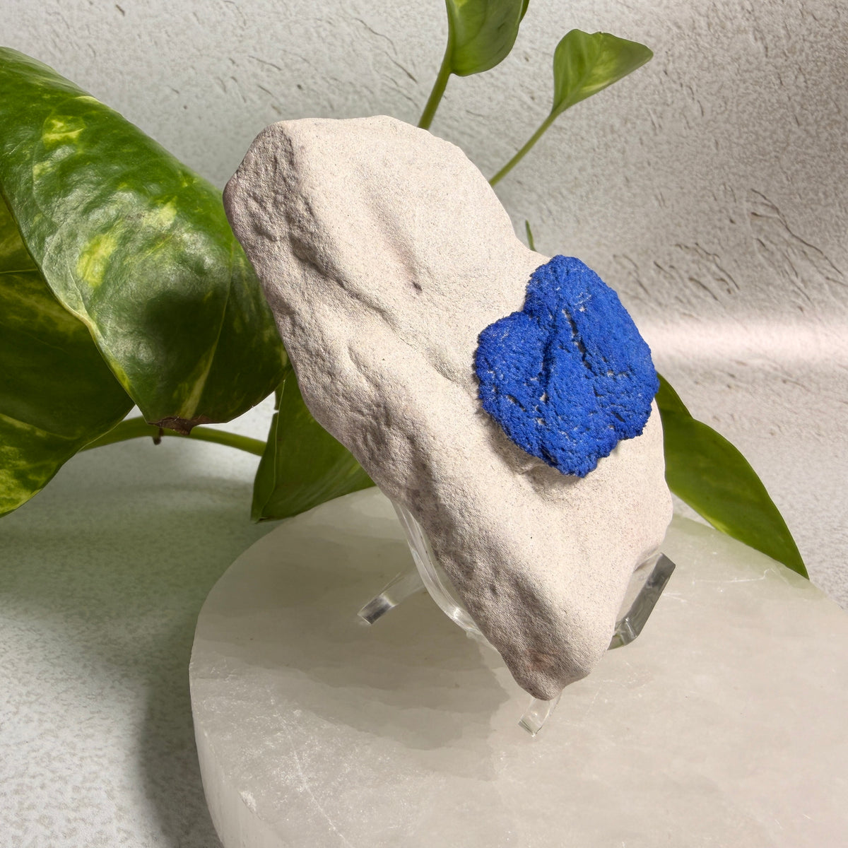 Azurite Suns 01 - NT