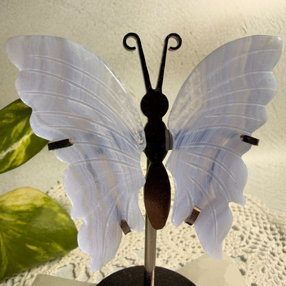 Blue Lace Agate Butterfly