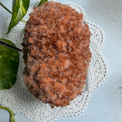 Red Gypsum 1 - WA