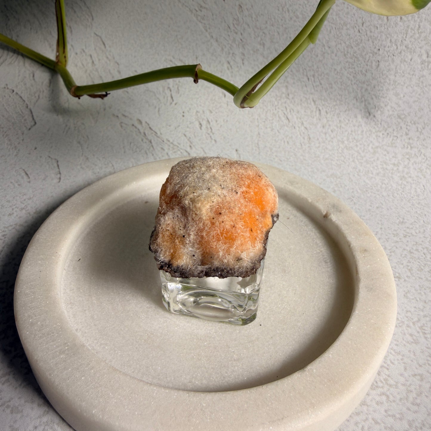 Thomsonite Sun 4