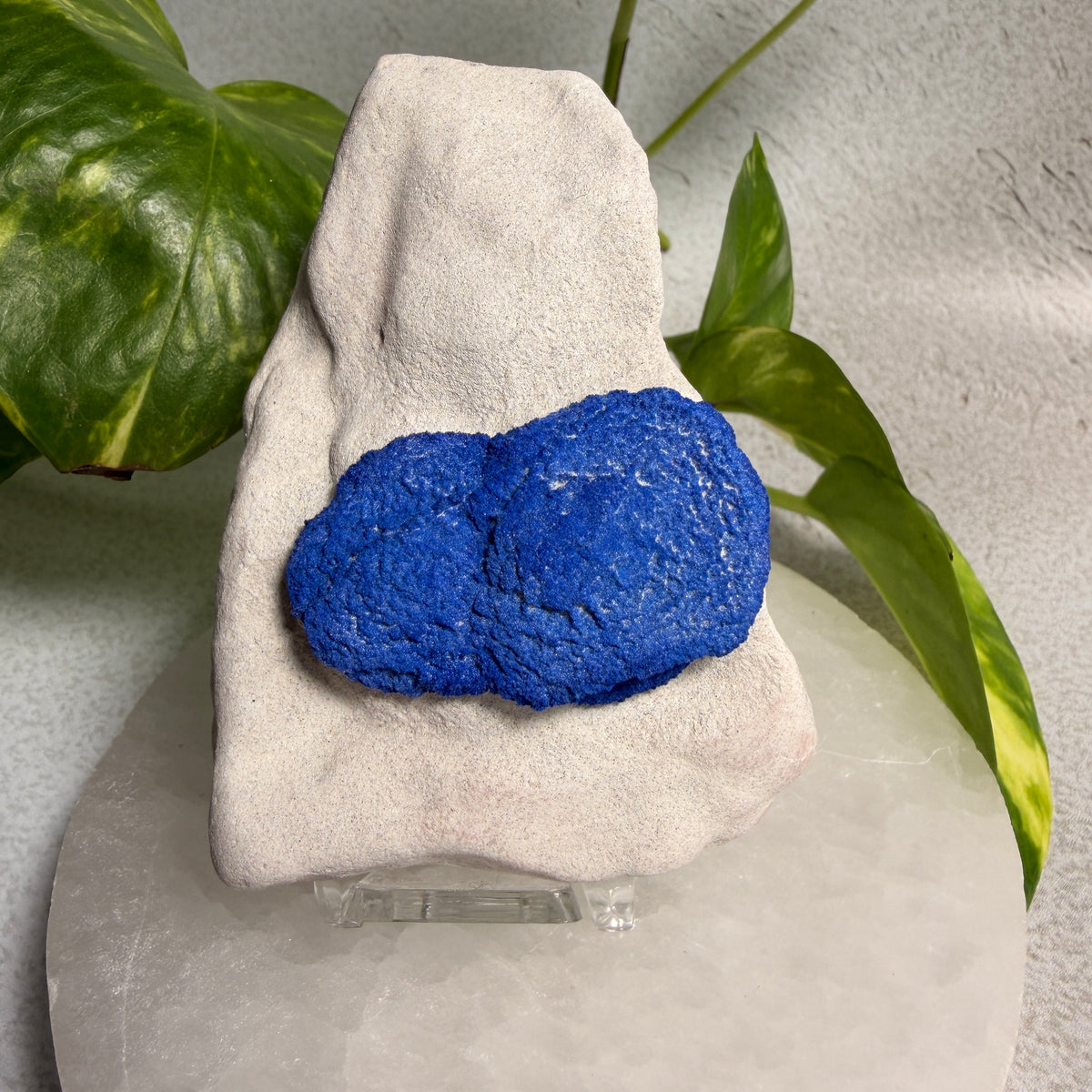 Azurite Suns 01 - NT