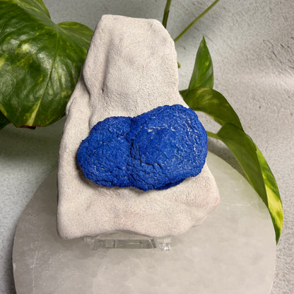 Azurite Suns 01 - NT