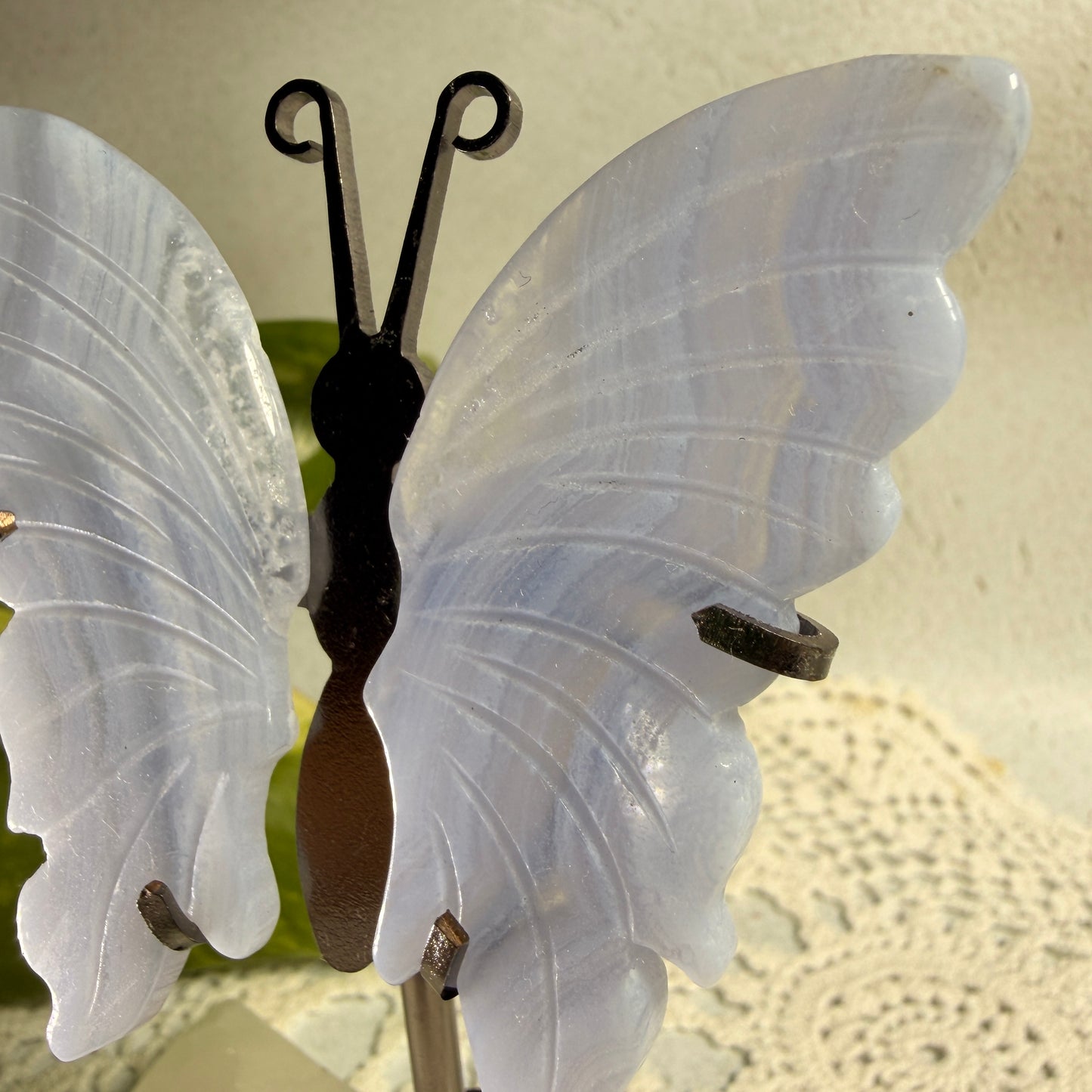 Blue Lace Agate Butterfly