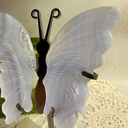 Blue Lace Agate Butterfly