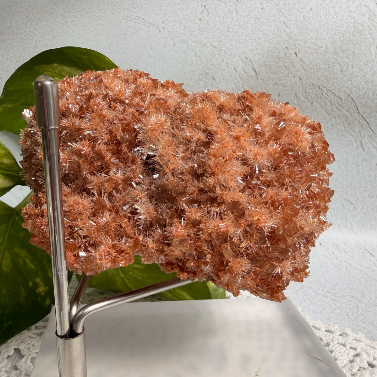 Red Gypsum 1 - WA