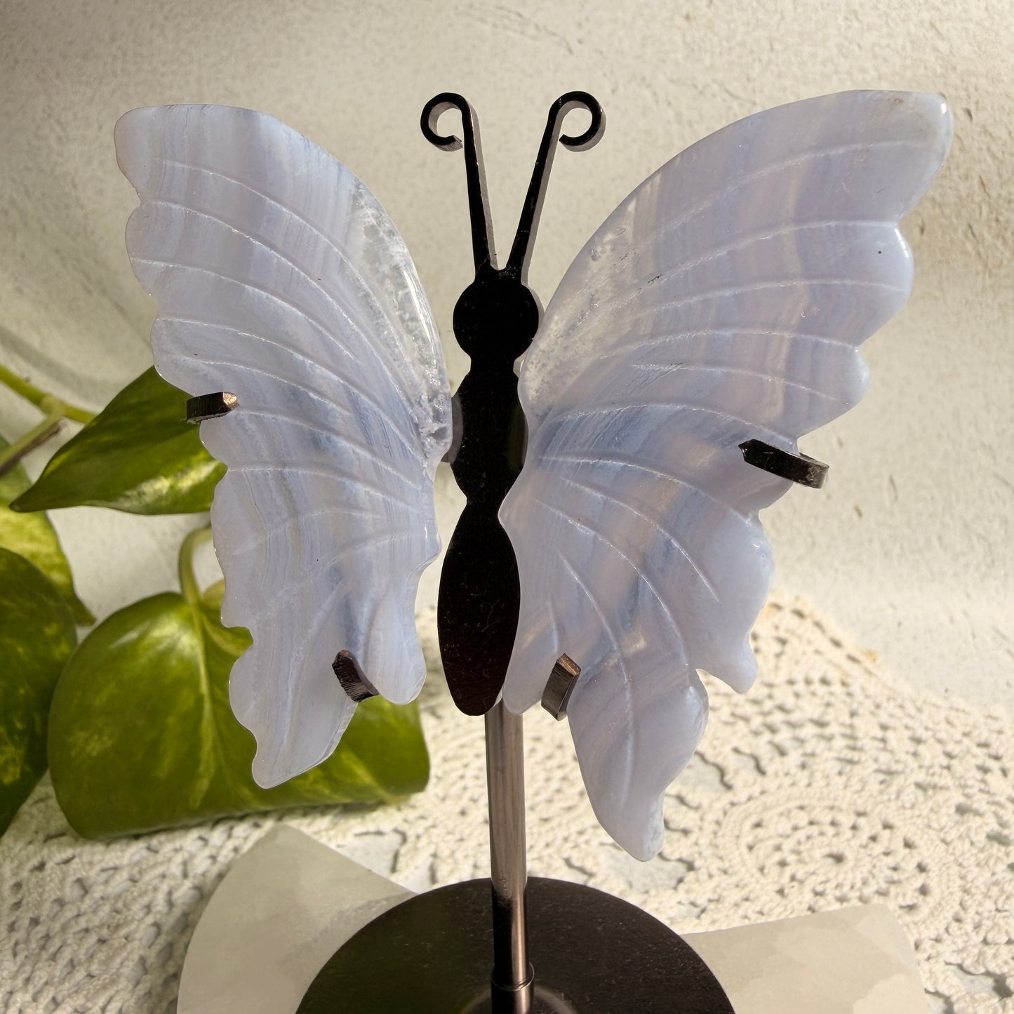 Blue Lace Agate Butterfly