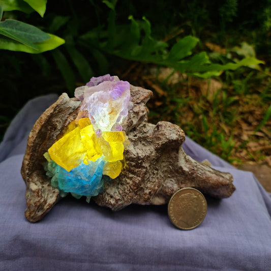 Crystal Lamp - Amethyst, Honey Calcite, Blue Fluorite