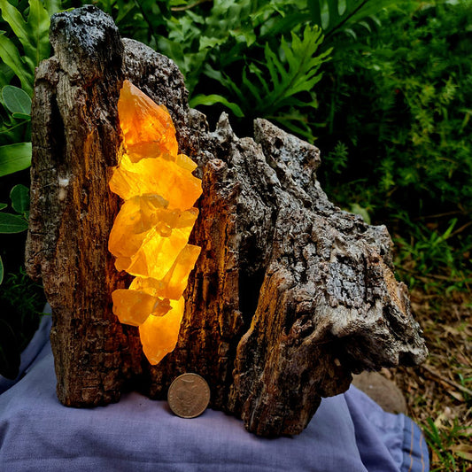 Crystal Lamp - Honey Calcite