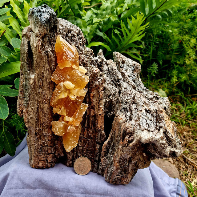 Crystal Lamp - Honey Calcite
